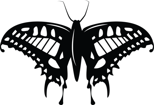 Butterfly 94