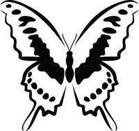 Butterfly 99