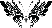 Butterfly 9