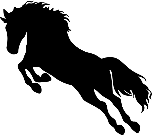 Horse 11