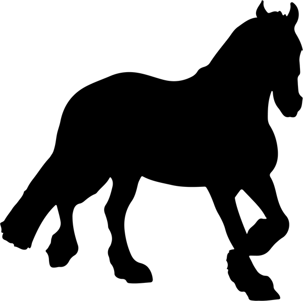 Horse 13