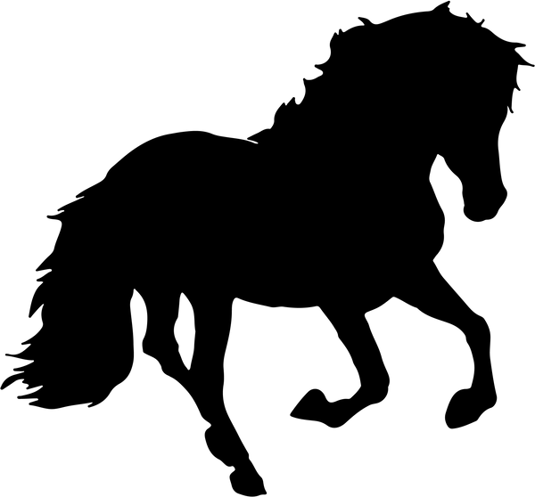 Horse 14