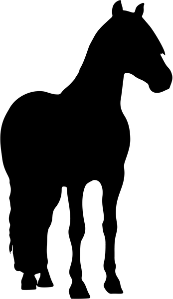 Horse 19