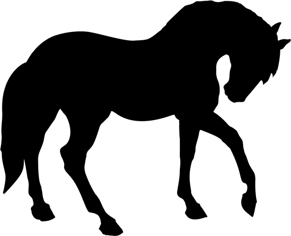 Horse 20