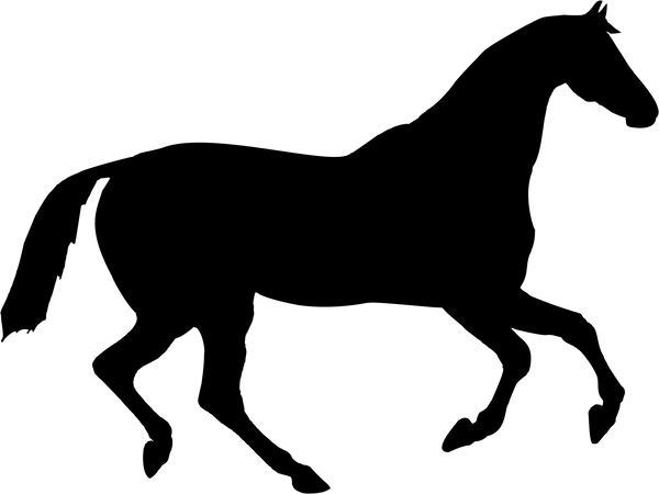 Horse 21