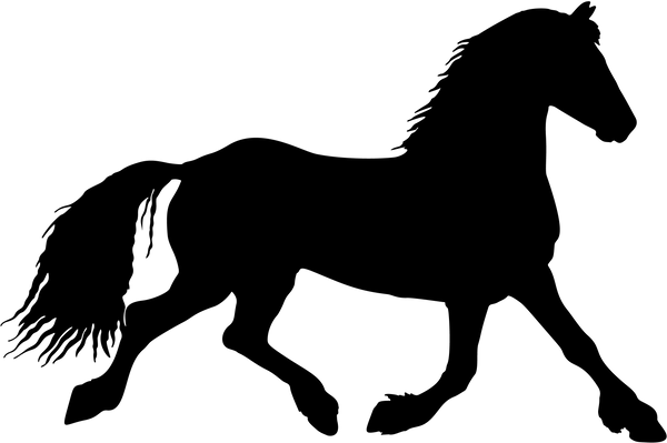 Horse 22