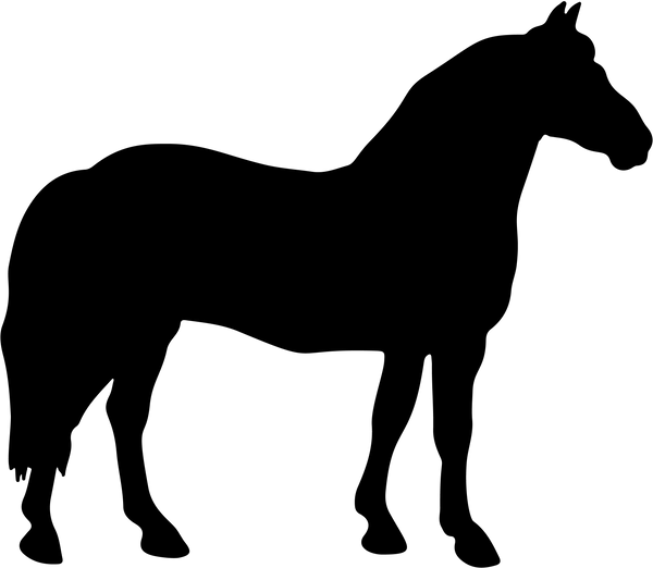 Horse 23