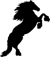 Horse 9